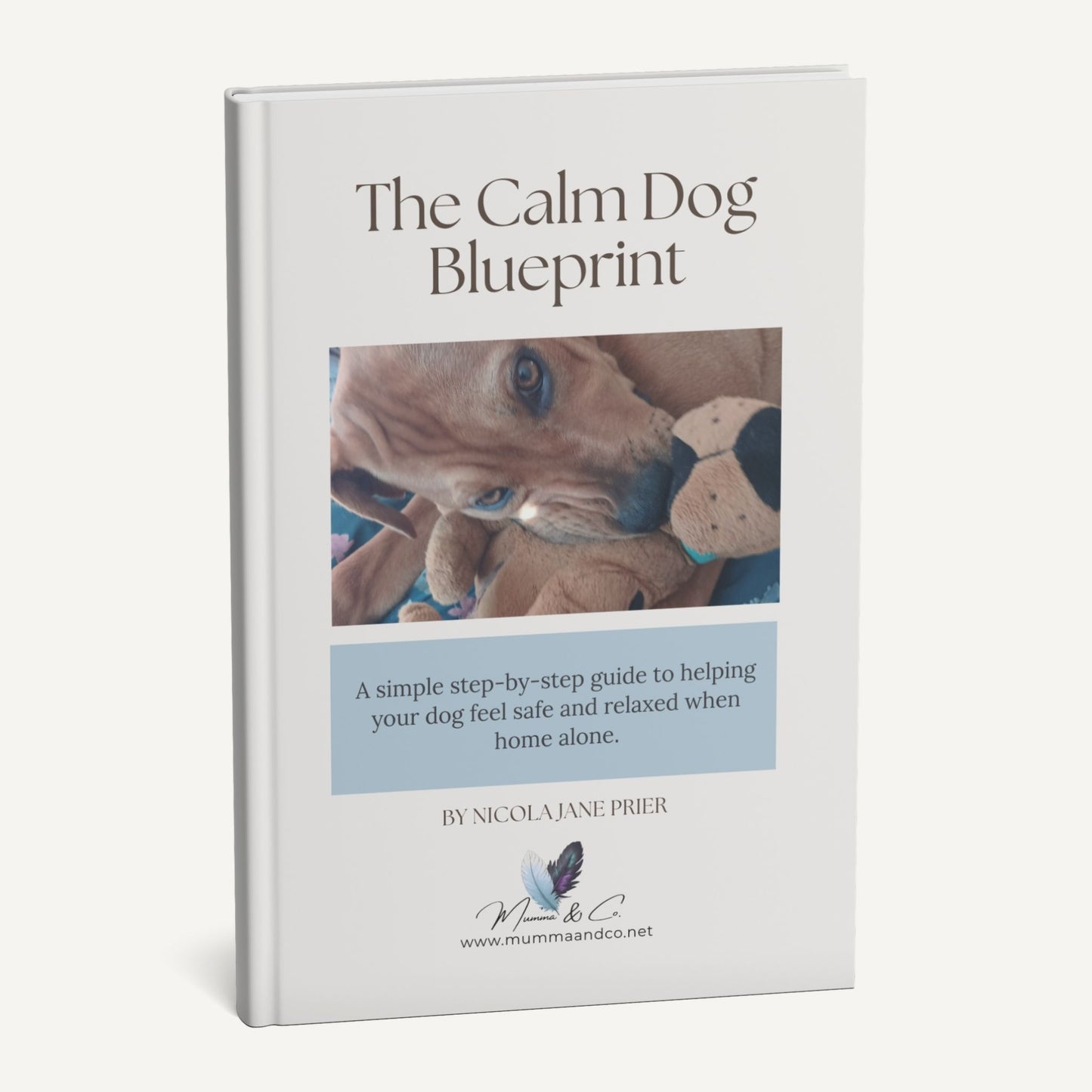 The Calm Dog Blueprint